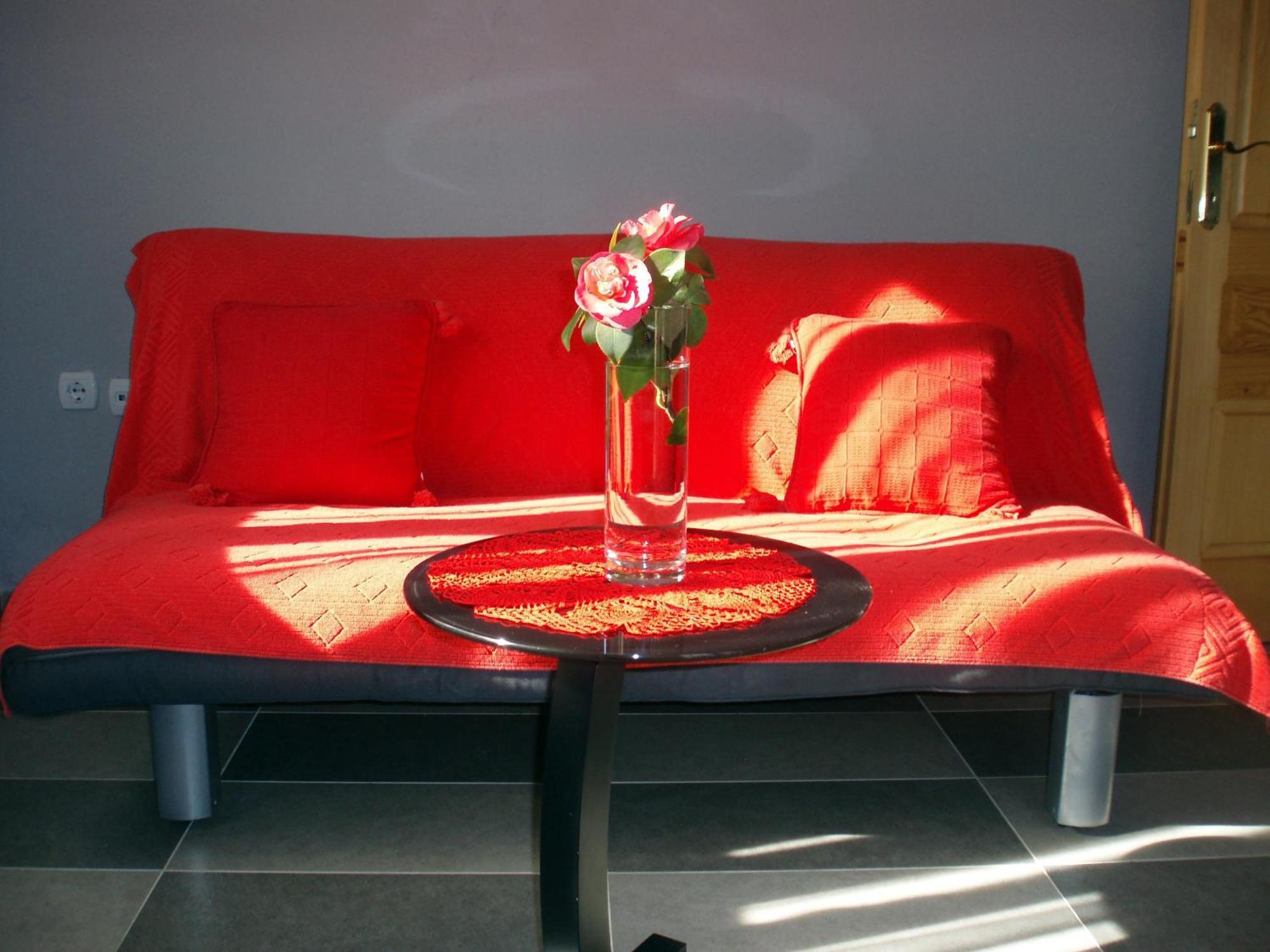 Djurovic Apartments Montenegro Kotor Bagian luar foto