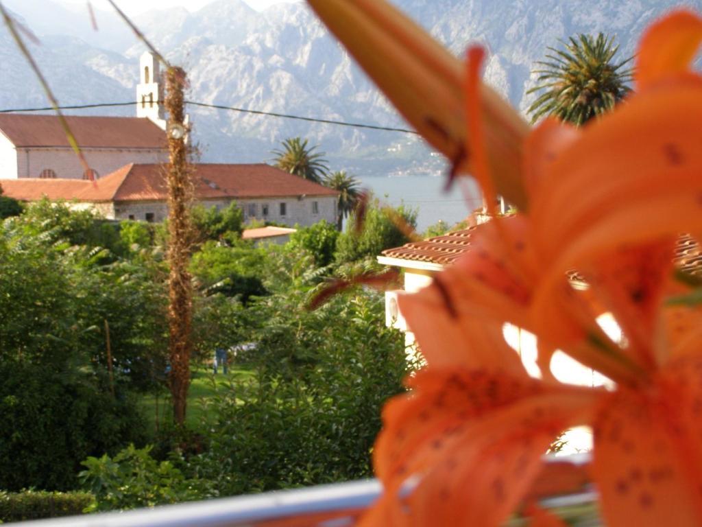 Djurovic Apartments Montenegro Kotor Ruang foto
